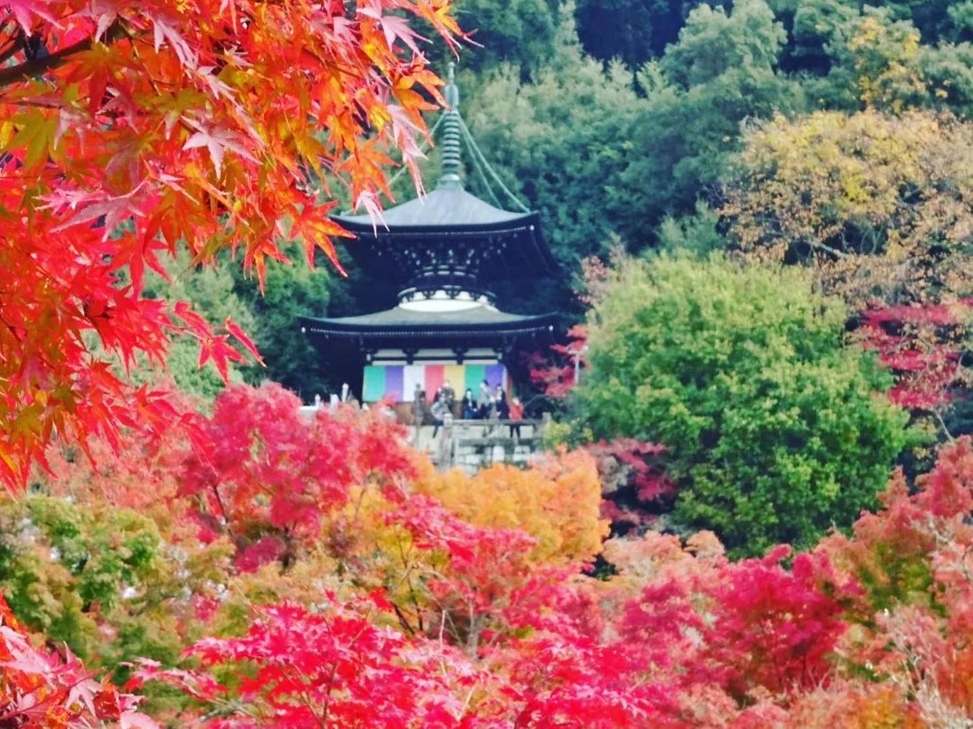 Yamamoto Ryokan Киото Экстерьер фото